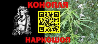 гашик Канаш