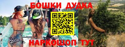 индика Кинель