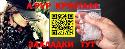 эйфоретик Кингисепп