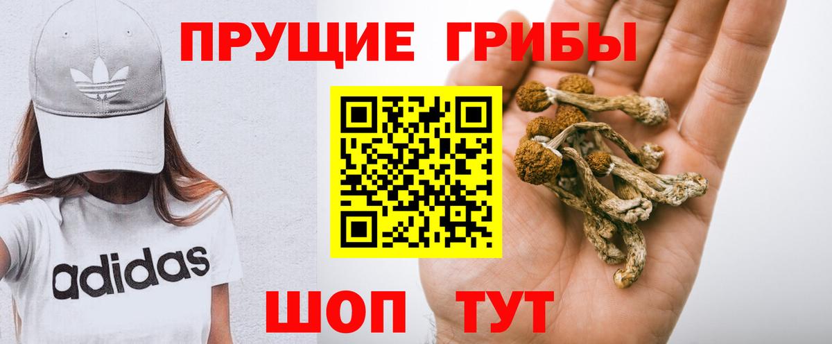 Псилоцибиновые грибы мухоморы Долгопрудный