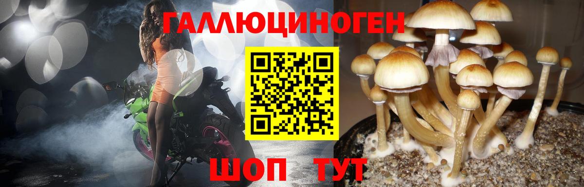 Псилоцибиновые грибы мухоморы  хочу   Долгопрудный  Вход с VPN 